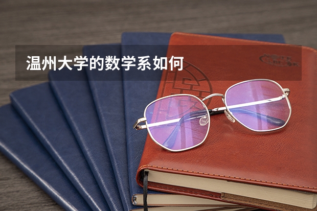 温州大学的数学系如何