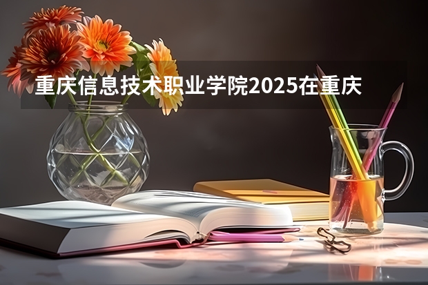 重庆信息技术职业学院2025在重庆招生计划预测