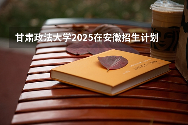 甘肃政法大学2025在安徽招生计划预测