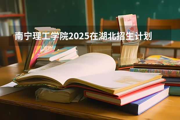 南宁理工学院2025在湖北招生计划预测