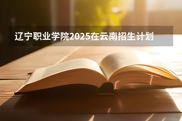 辽宁职业学院2025在云南招生计划预测