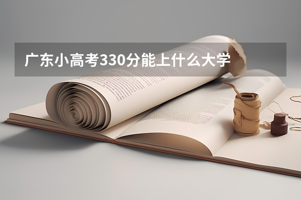广东小高考330分能上什么大学