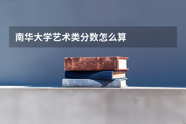 南华大学艺术类分数怎么算