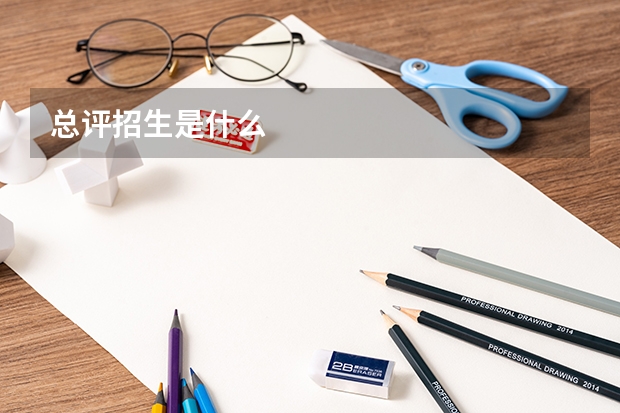 总评招生是什么