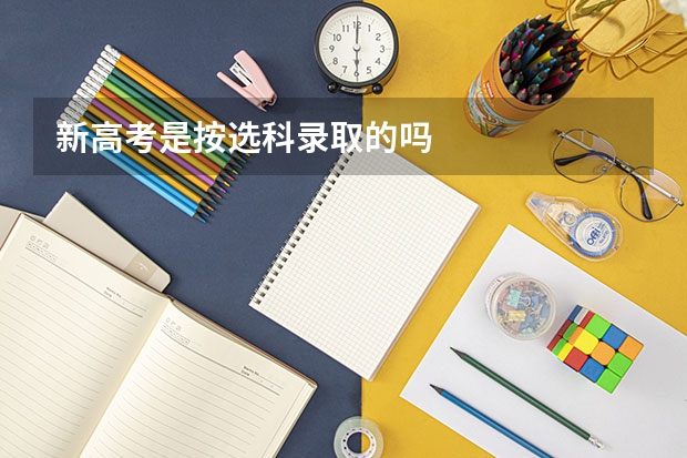 新高考是按选科录取的吗
