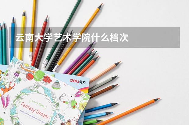 云南大学艺术学院什么档次