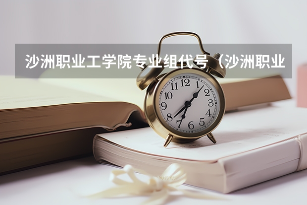 沙洲职业工学院专业组代号（沙洲职业工学院好不好）